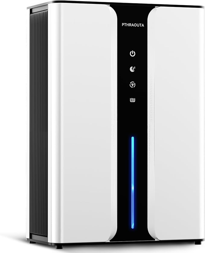 PTHRAOUTA Dual-Mode Compact Dehumidifier