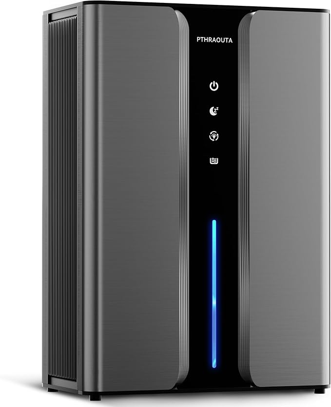 PTHRAOUTA Dual-Mode Compact Dehumidifier